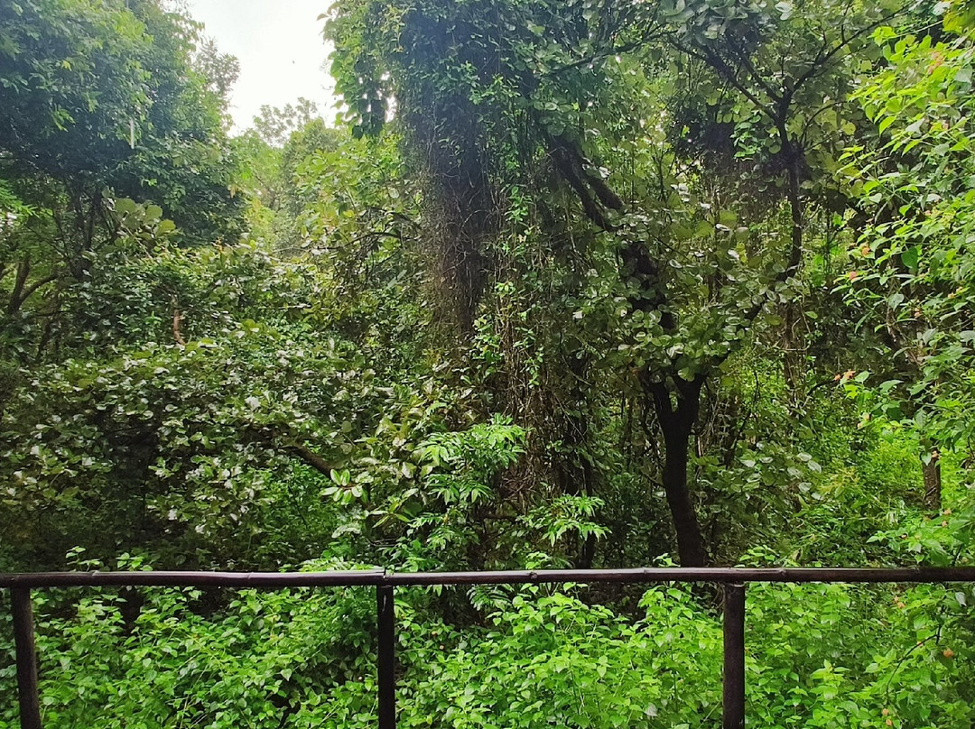 Baghvan, A Taj Safari - Pench National Park主图