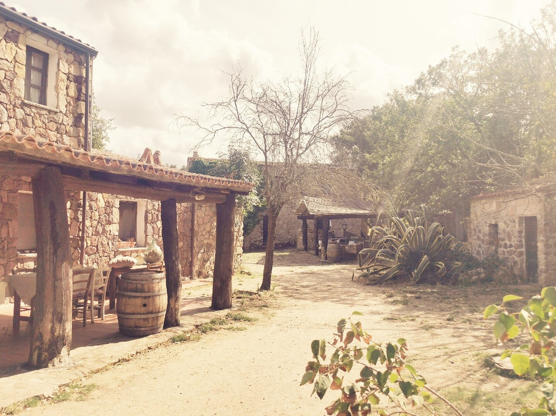 Agriturismo Il Muto di Gallura