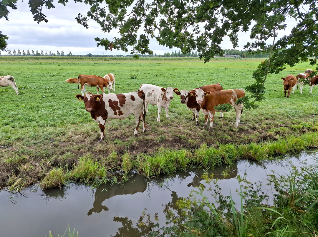 Vredelantsepad-Vreeland必去景点