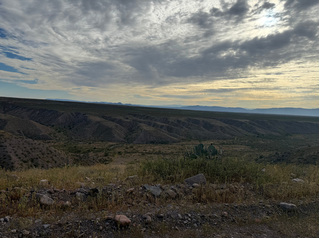 Ted Turner Reserves - Ladder Ranch