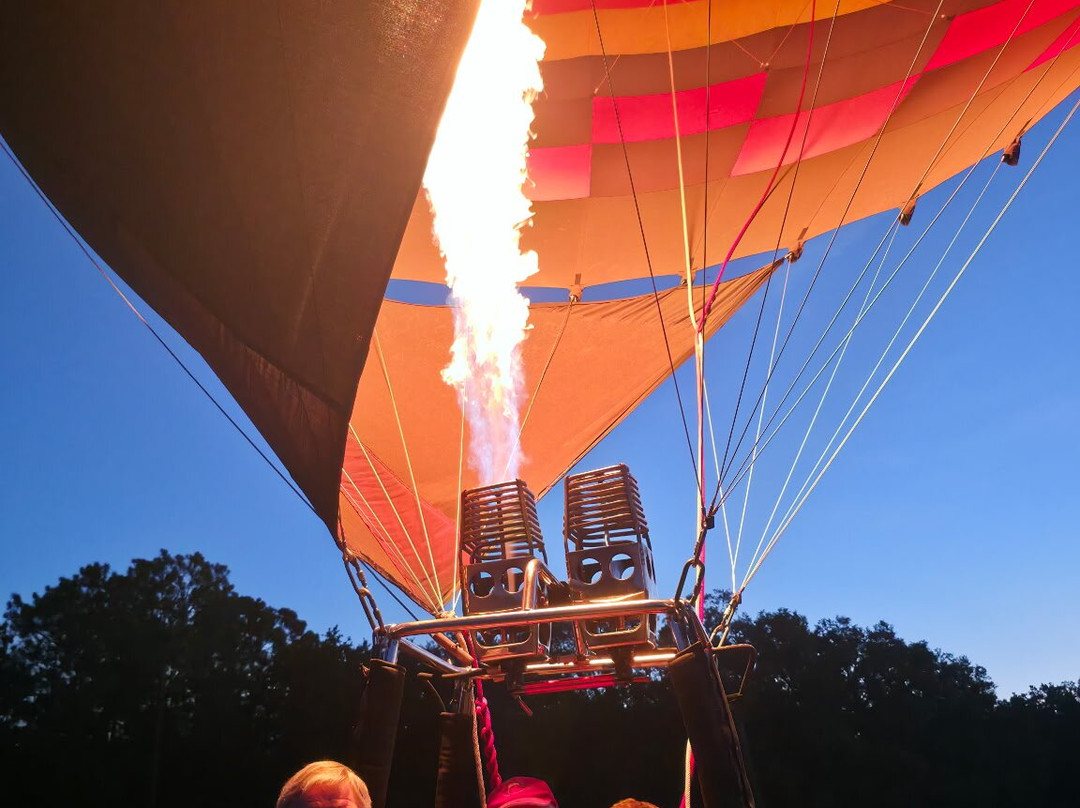 Bob's Balloons-奥兰多必去景点