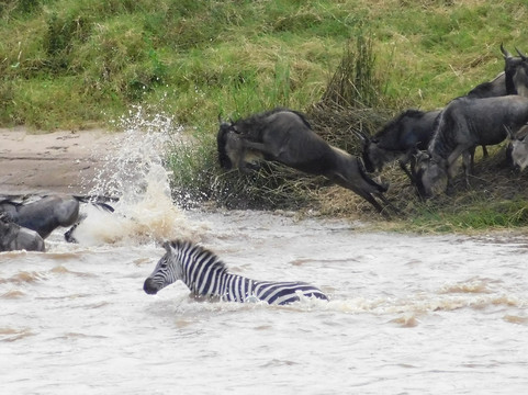 Shah Tours-莫西必去景点