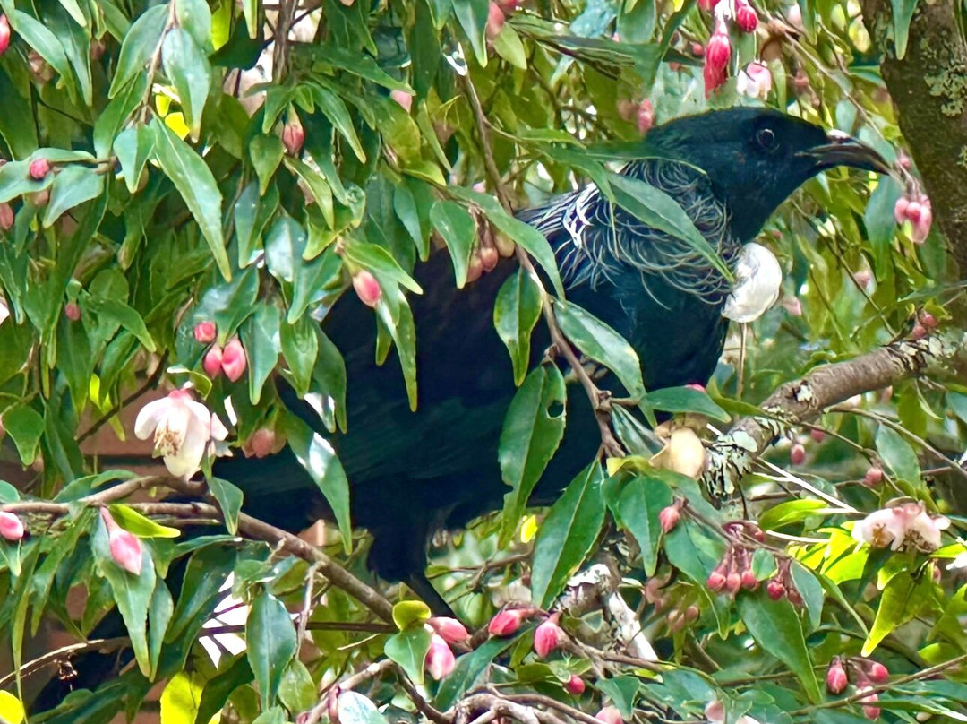 Eden Garden-埃普索姆必去景点