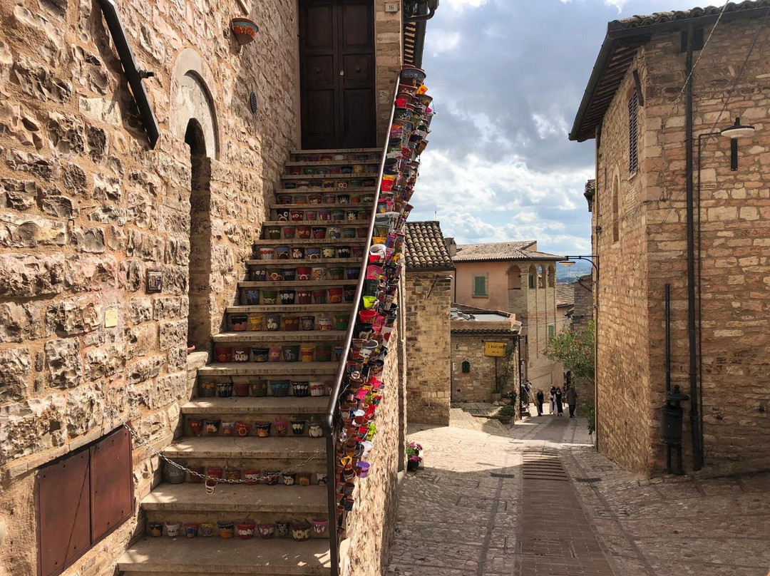 Residence Terra Dei Santi Country House主图