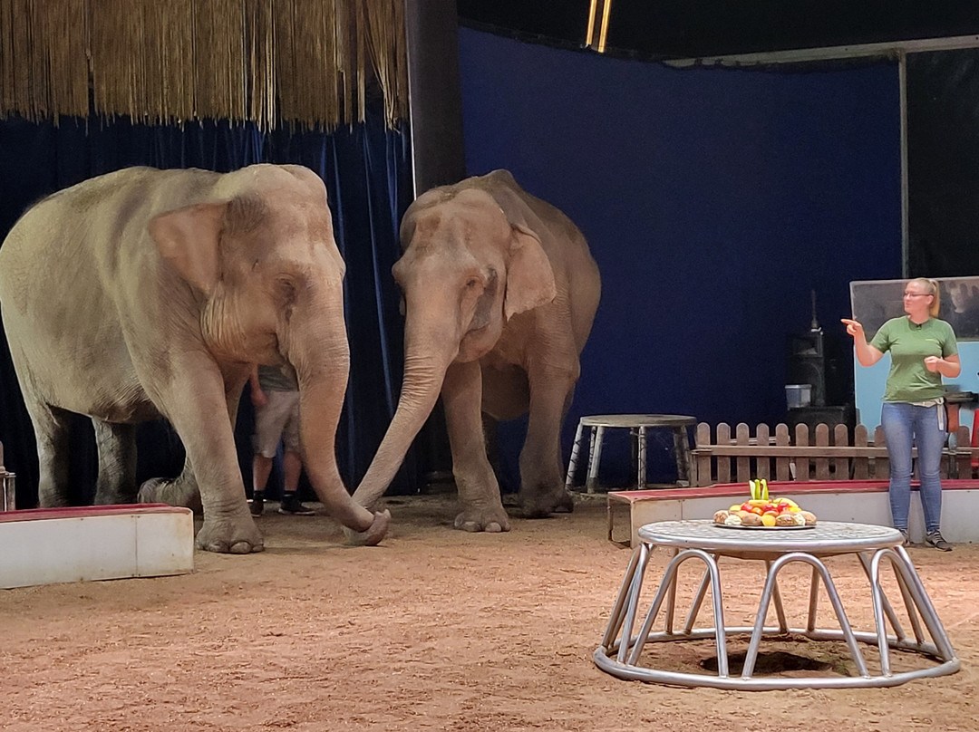 Elefantenhof Platschow-Platschow必去景点