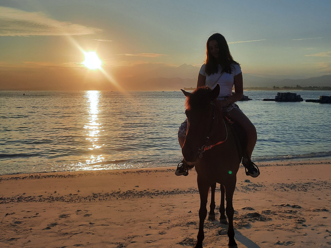 King Stable Horse Riding Tour-Gili Meno必去景点