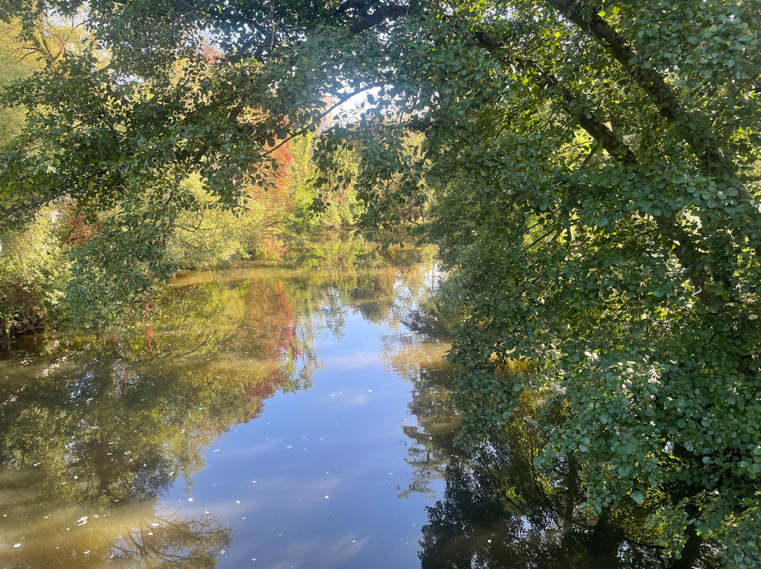 Altstadt Meisenheim-Meisenheim必去景点