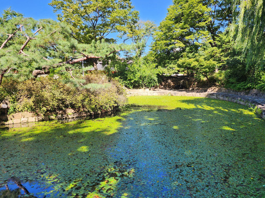 Deoksugung Palace-首尔必去景点