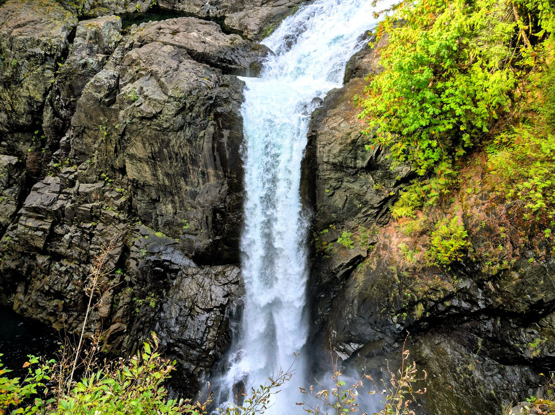 Elk Falls Suspension Bridge-坎贝尔里弗必去景点