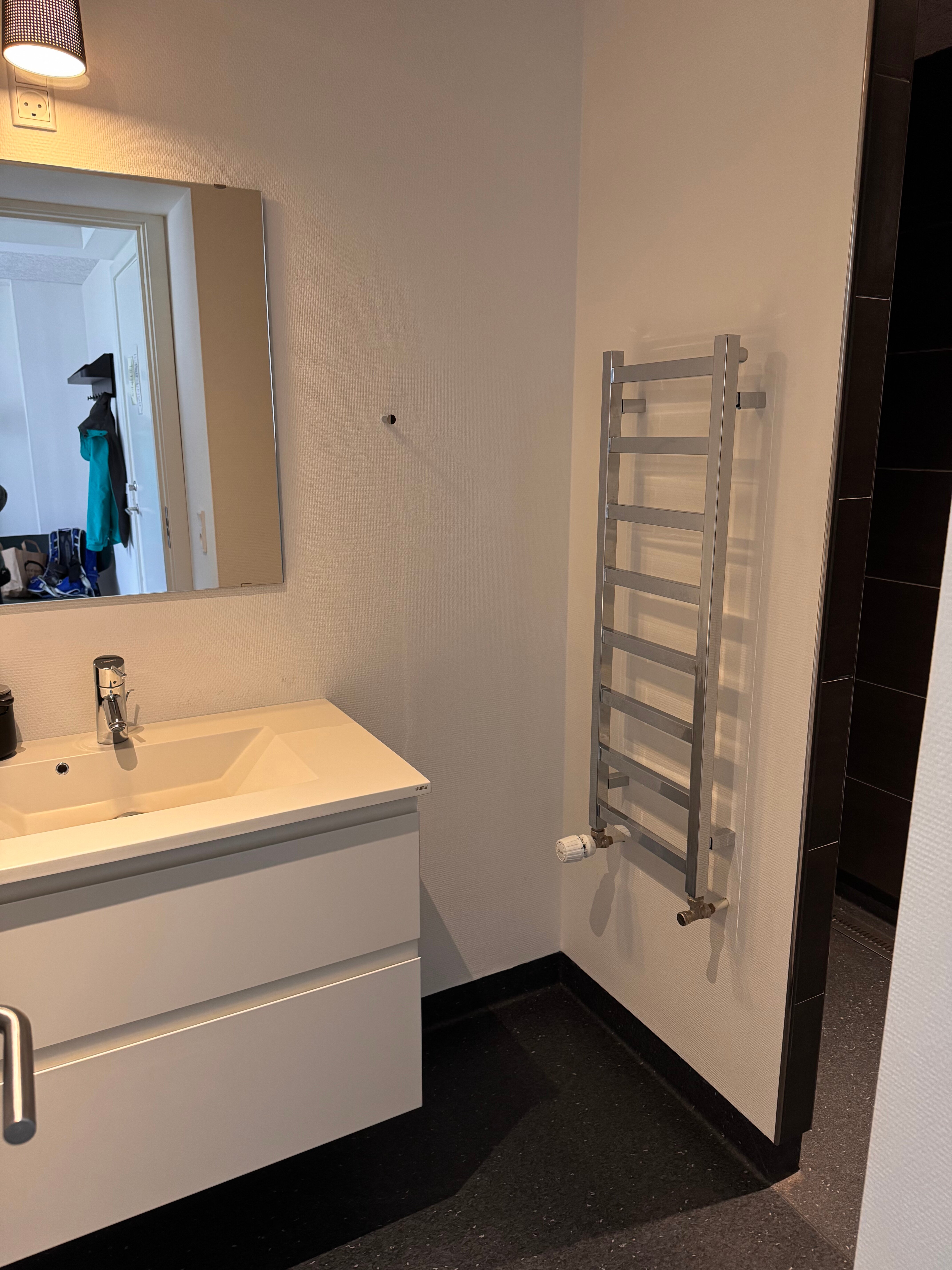 Hotel Disko Island-浴室