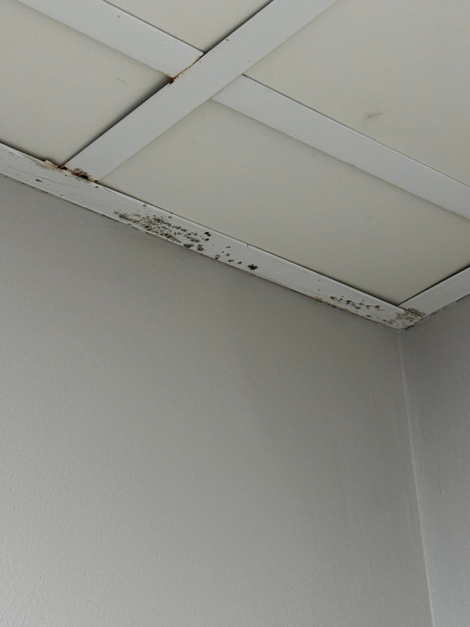 Countryside Inn & Suites Council Bluffs IA-官方