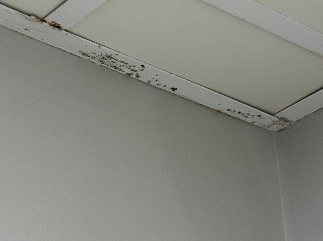 Countryside Inn & Suites Council Bluffs IA主图