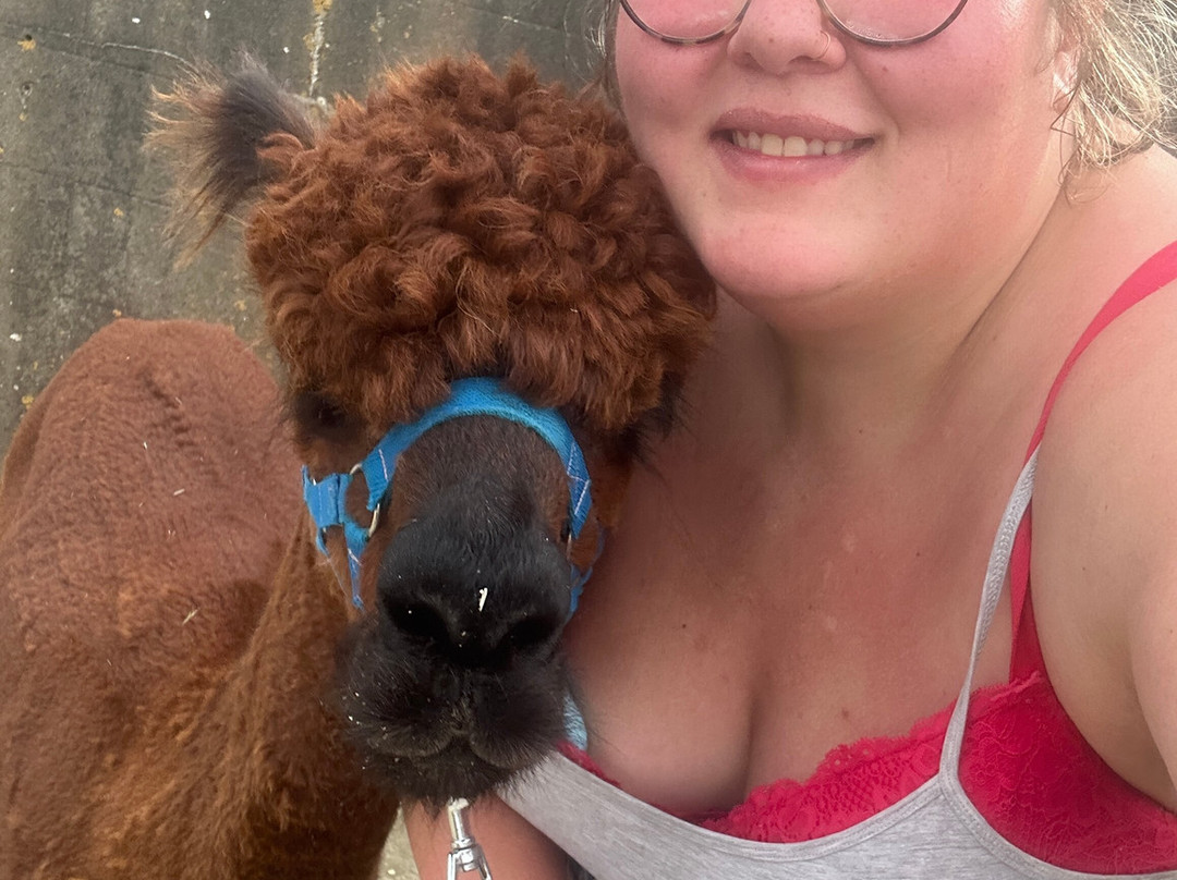 Portland Alpaca Trekking-Weston必去景点