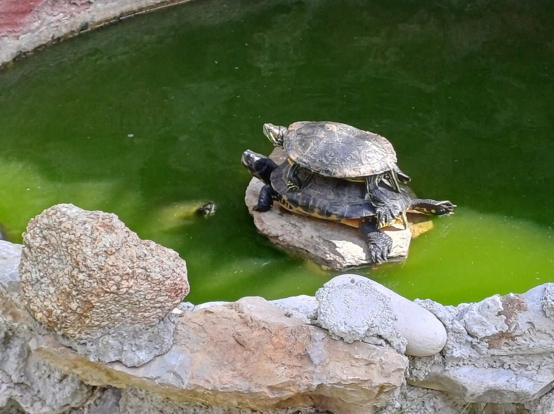 Studio Jimmy's主图