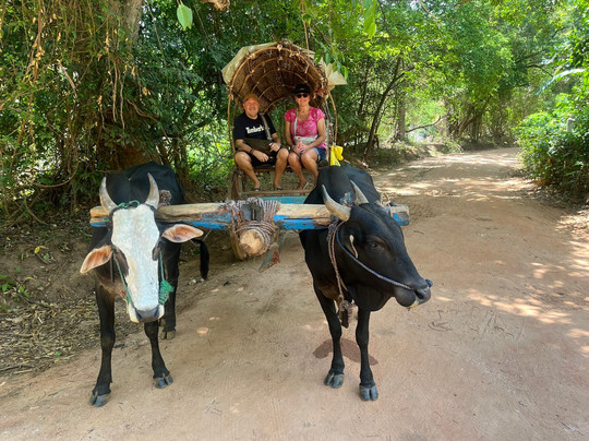 Travel With Sri-Ja Ela必去景点