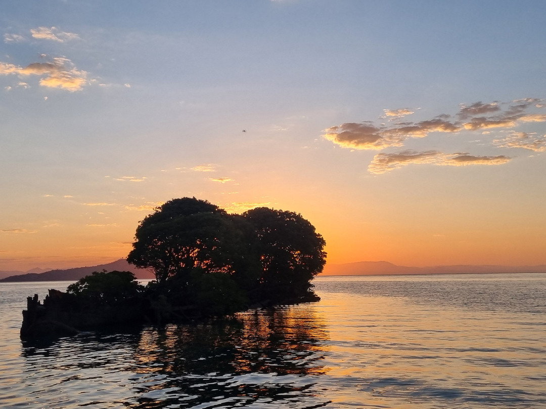 Aquascene Magnetic Island-Magnetic Island必去景点
