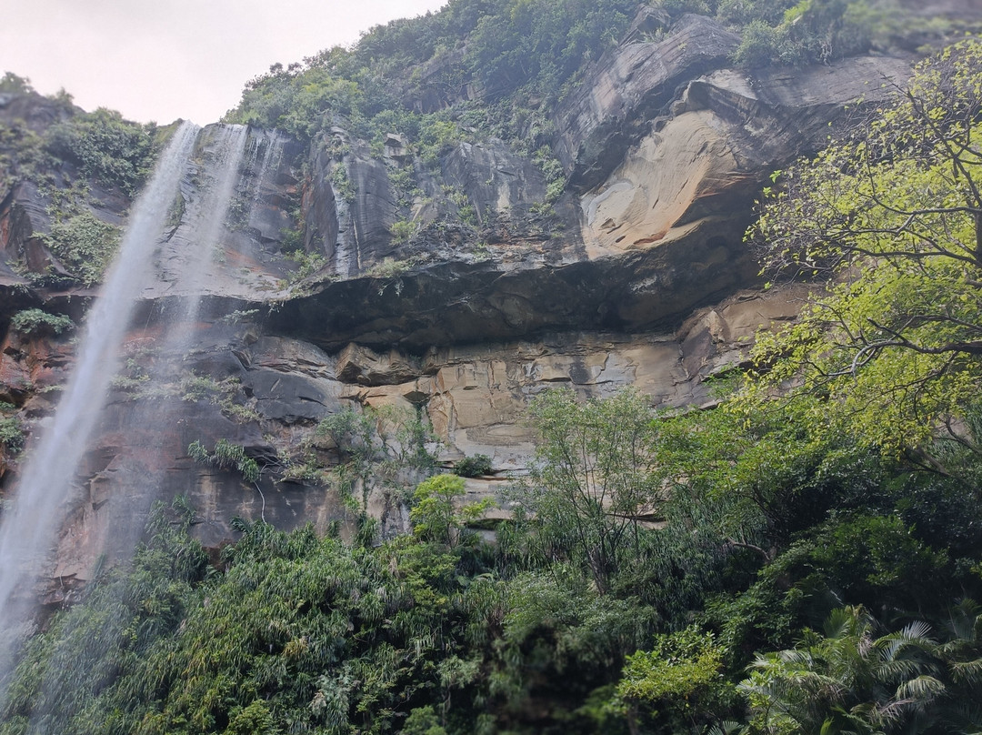 Iriomote Island Kayaks Kazaguruma-竹富町西表岛必去景点