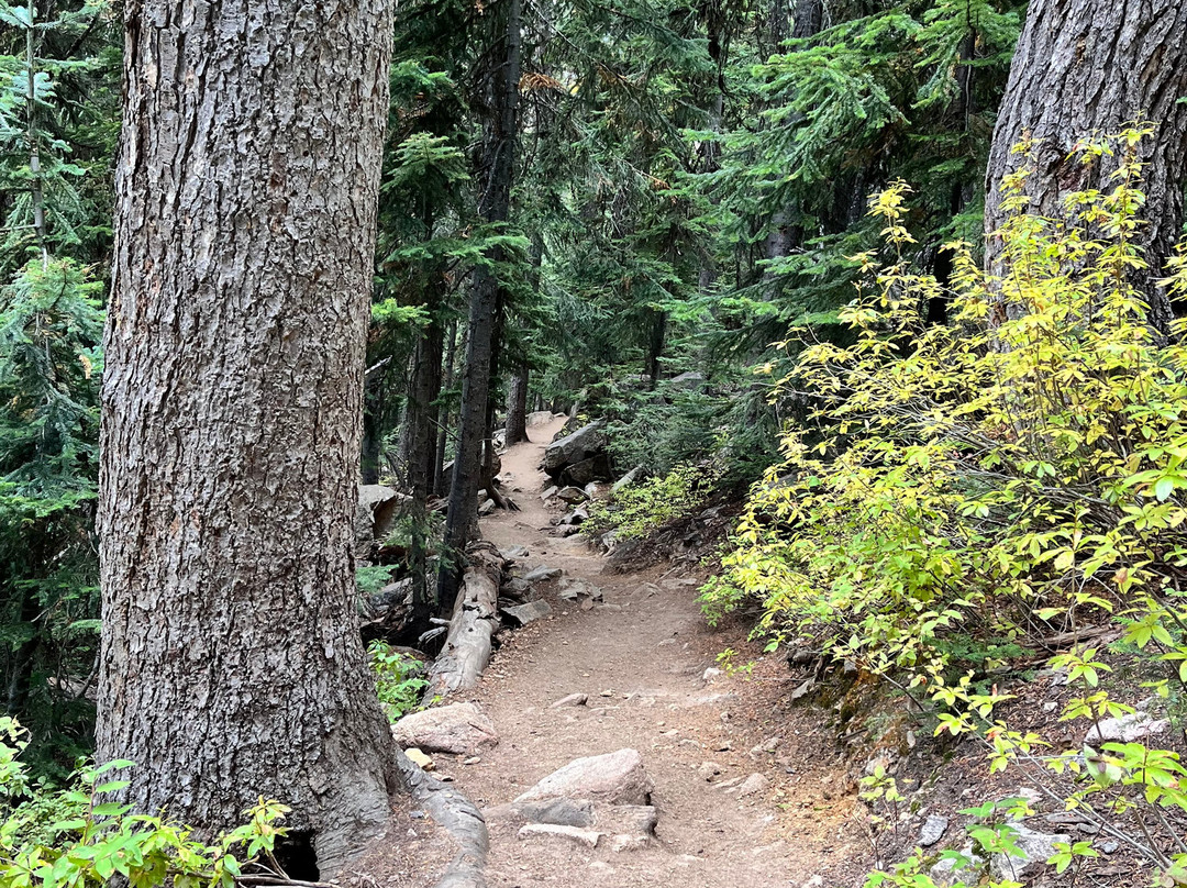 Blue Lake Trail-North Cascades National Park必去景点