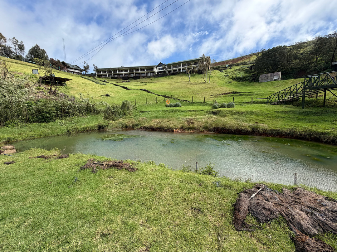 德斯蒂尼农场酒店主图