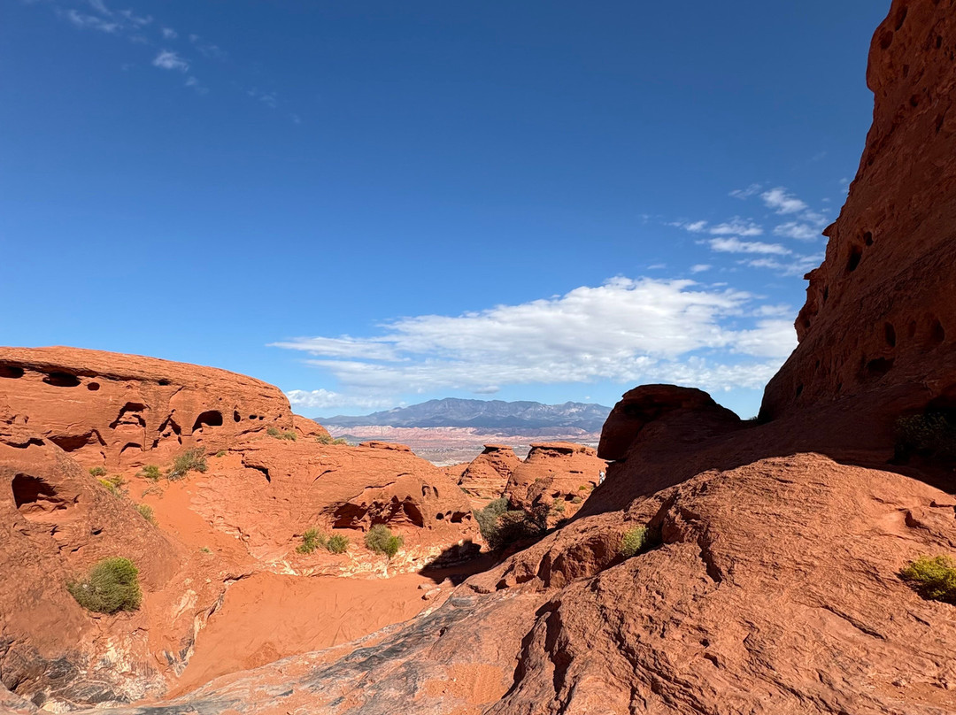 Red Rock Humvee Tours-哈里肯必去景点