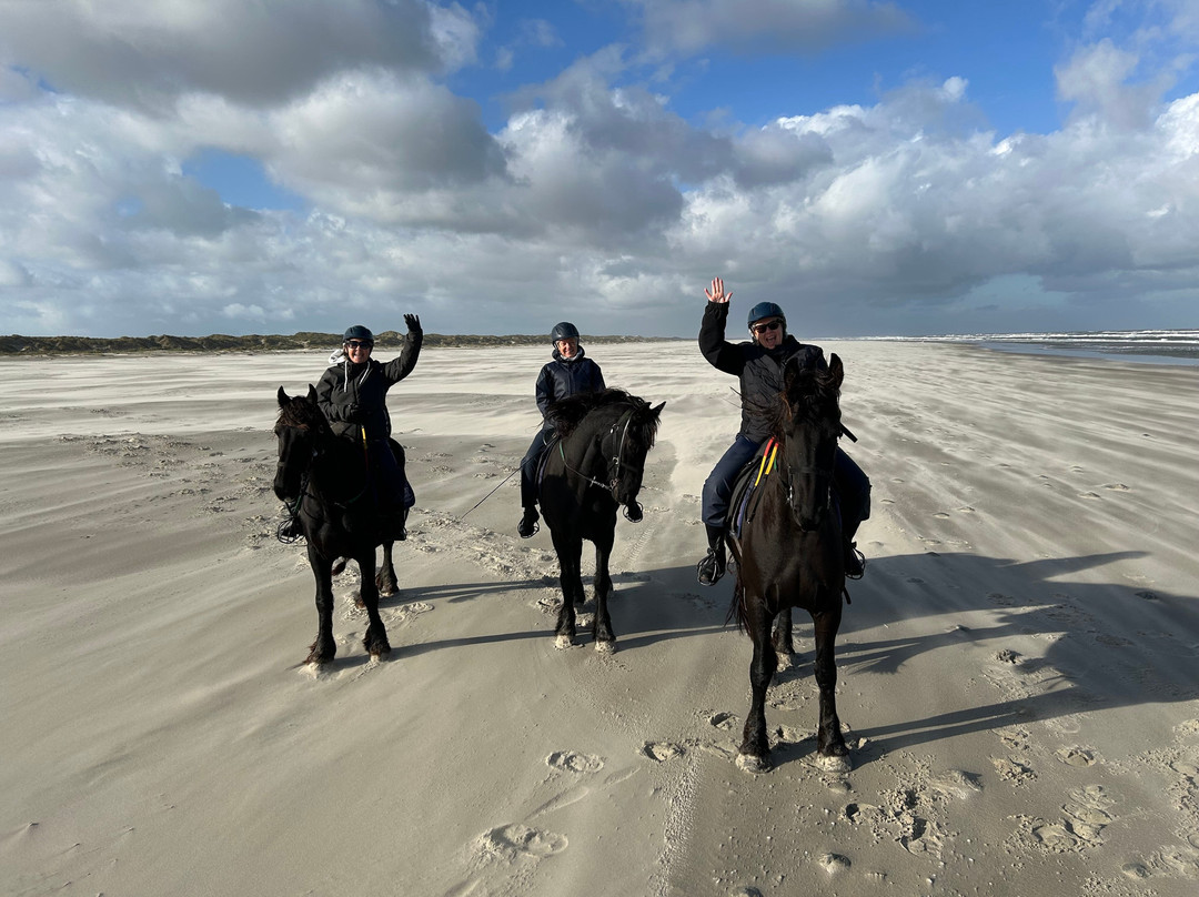 Puur Terschelling-Terschelling必去景点