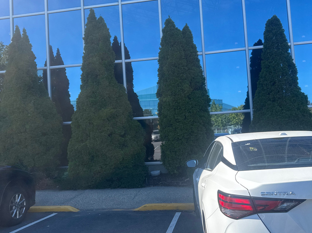 Marriott Melville Long Island主图