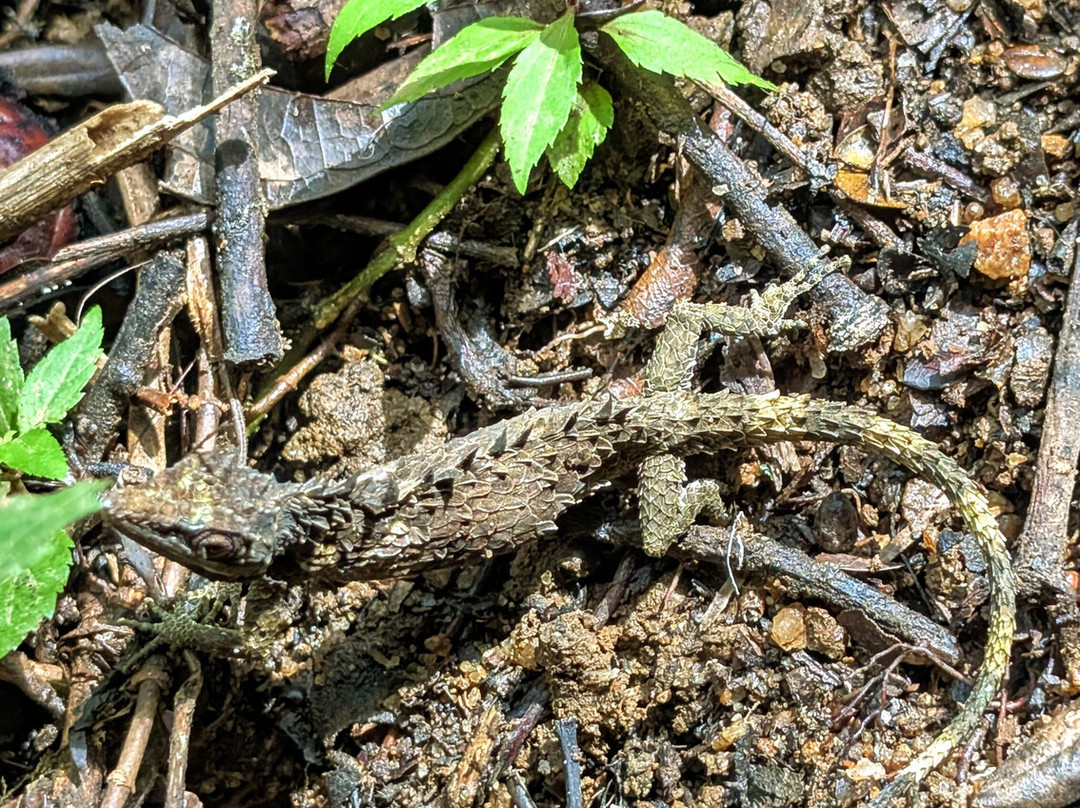 Travel Trail With Pulendran Gobi-埃勒必去景点