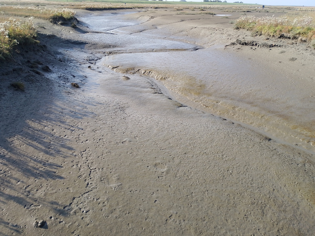 Langwarder Groden-Butjadingen必去景点