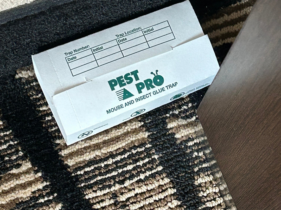 水星大酒店主图