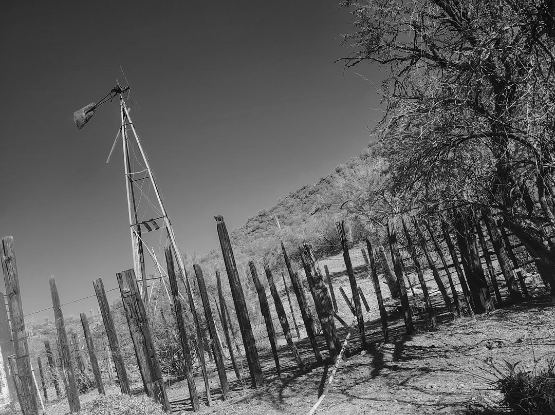 AZ ATV Adventures-Buckeye必去景点