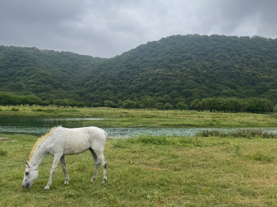 Salalah Safari Tours (Your Way, Your Stay)-塞拉莱必去景点