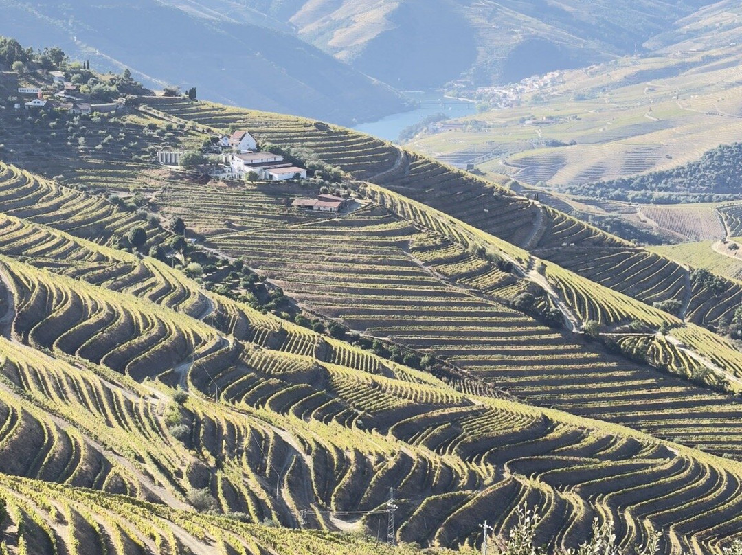Quevedo-Sao Joao da Pesqueira必去景点