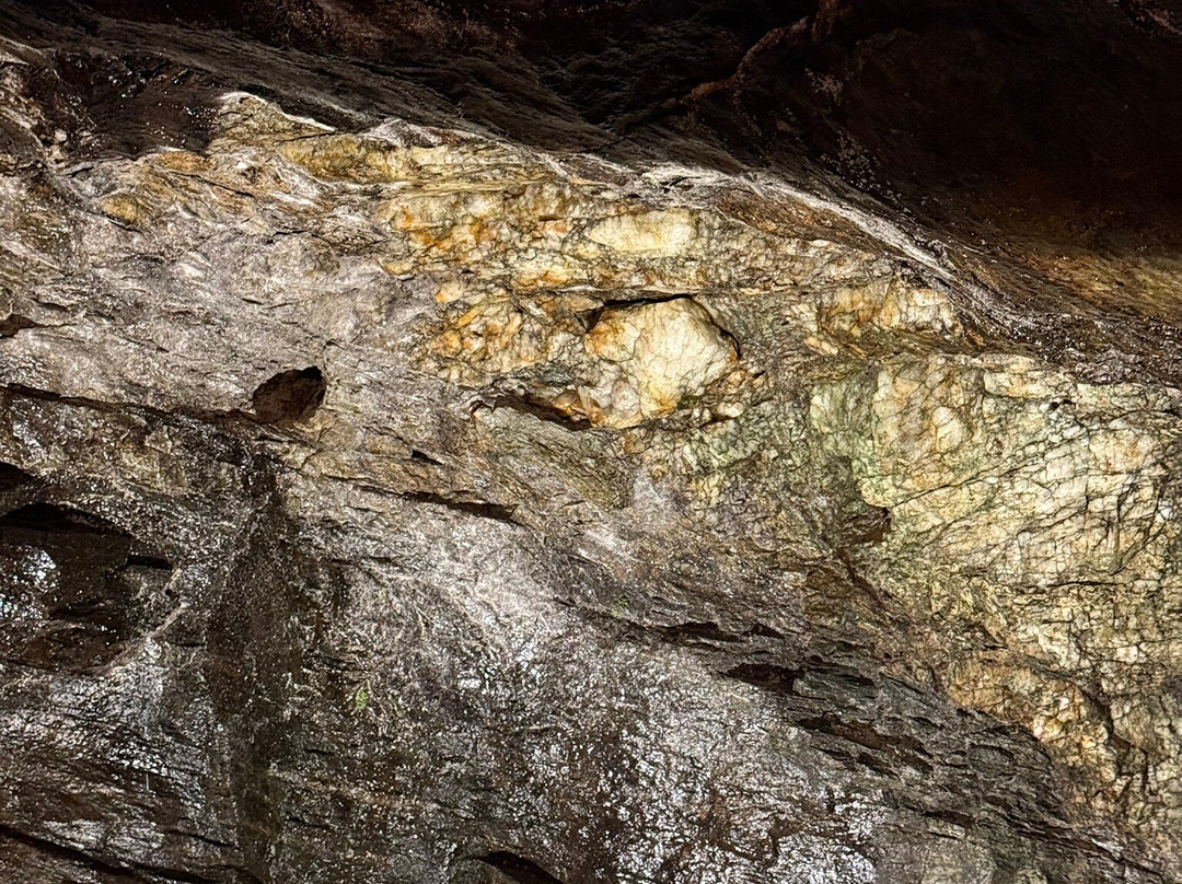 Consolidated Gold Mine-达洛尼加必去景点