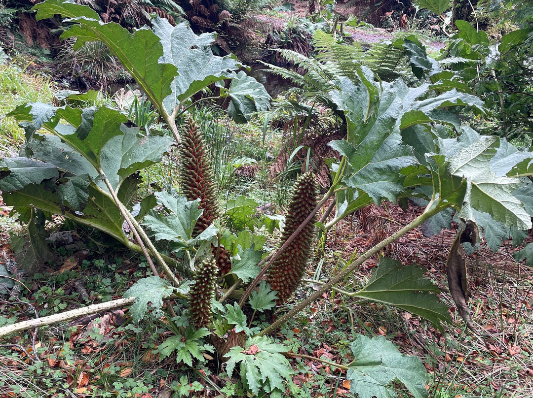 Kells Bay House And Gardens主图