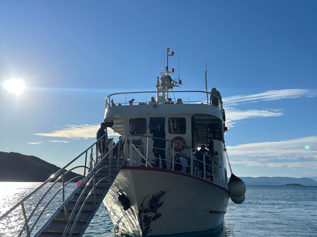 Poseidon Cruises-斯亚索斯必去景点