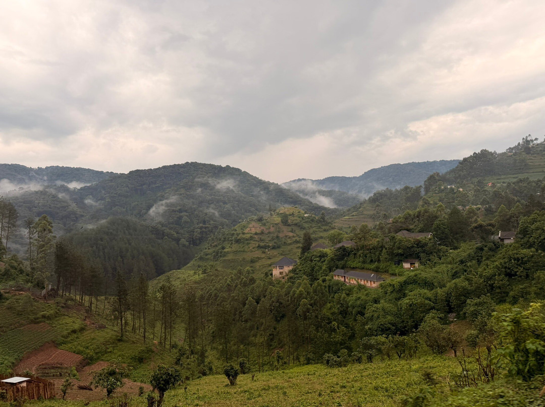 Mission Africa Safaris-Ruhengeri必去景点