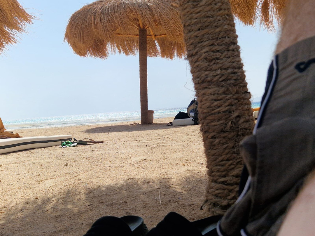 ORCA Dive Club Wadi Lahmy-马萨阿拉姆必去景点