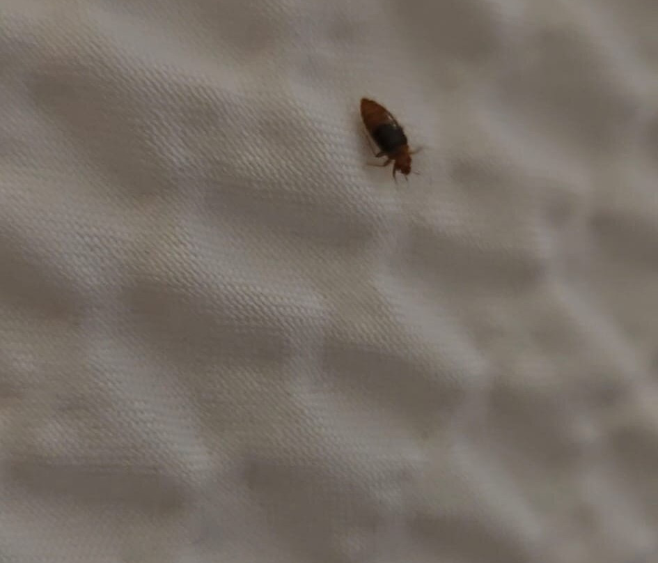 La Quinta Inn & Suites by Wyndham Phoenix Mesa West主图