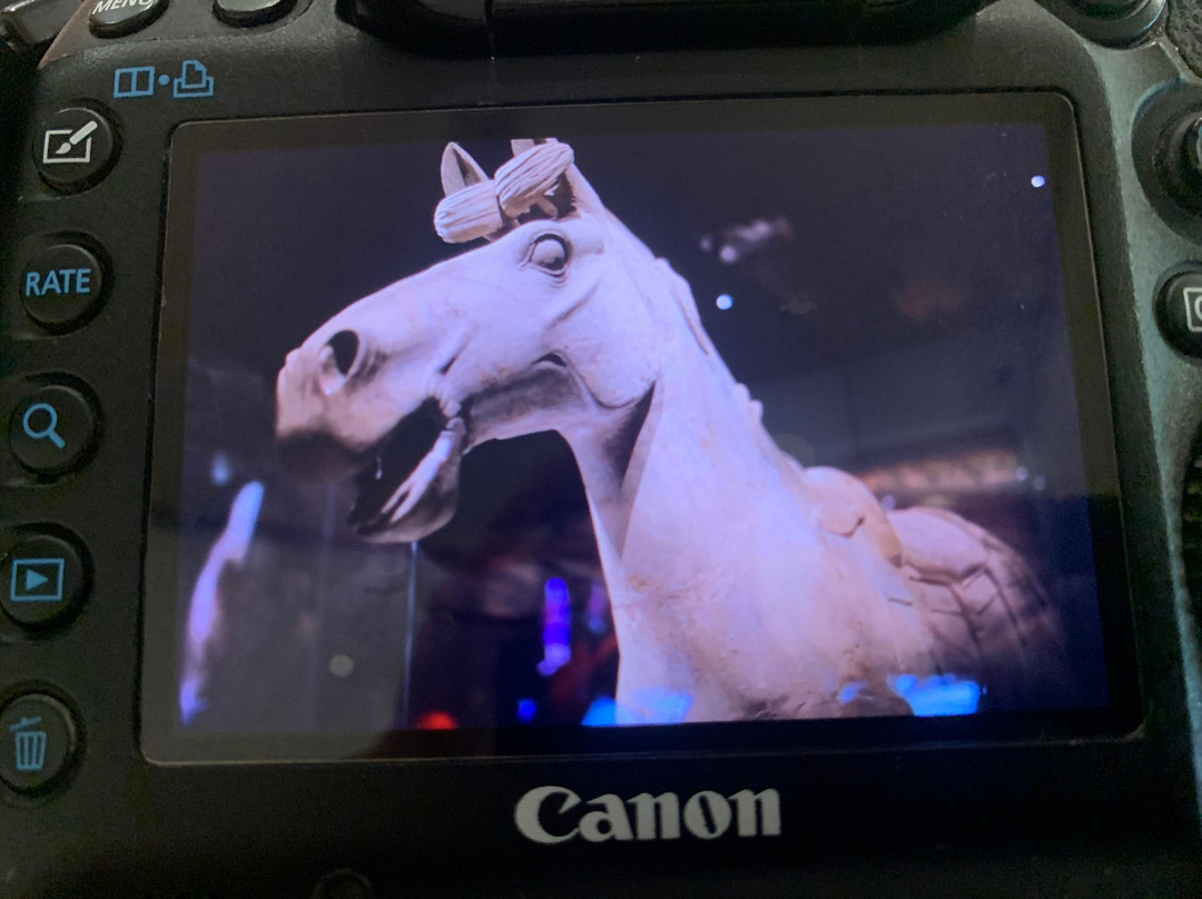 西澳博物馆-珀斯必去景点