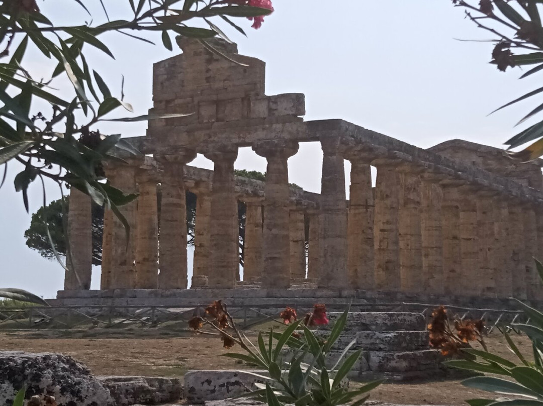 Parco Archeologico di Paestum e Velia-Paestum必去景点