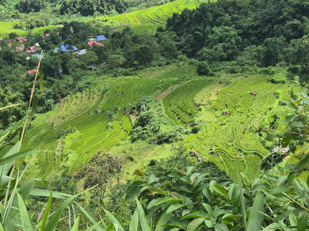 Vietnam Typical Tours - Day Tours-河内必去景点