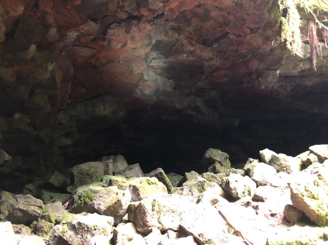 Ape Cave Lava Tubes-长景市必去景点