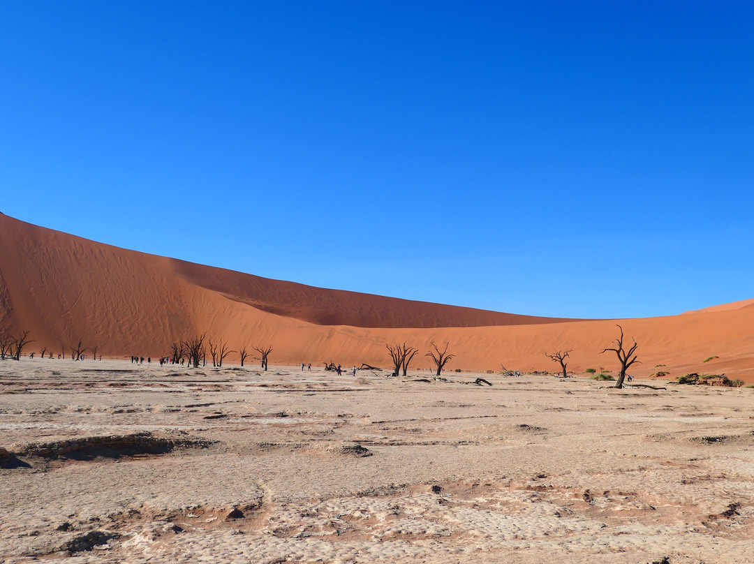 Deadvlei-苏丝斯黎必去景点