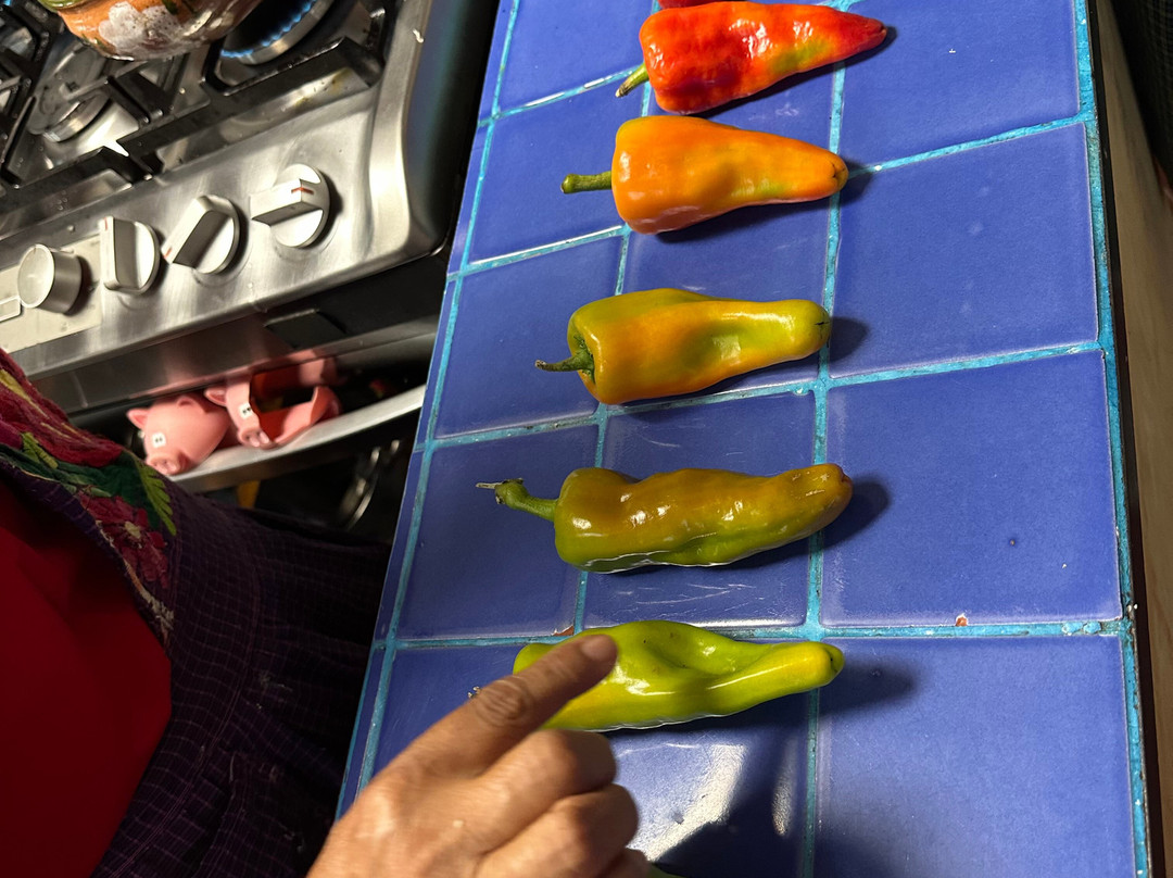 Alma de Mi Tierra-瓦哈卡必去景点