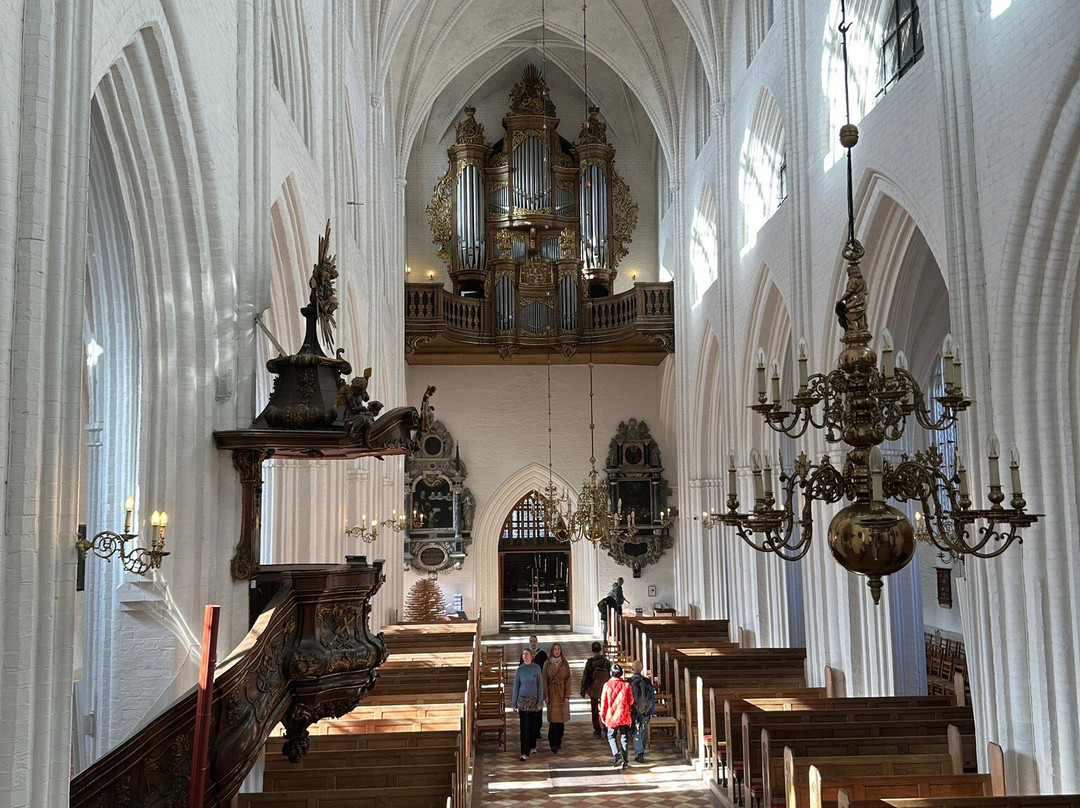 Odense Cathedral - Sct. Knuds Church-欧登塞必去景点
