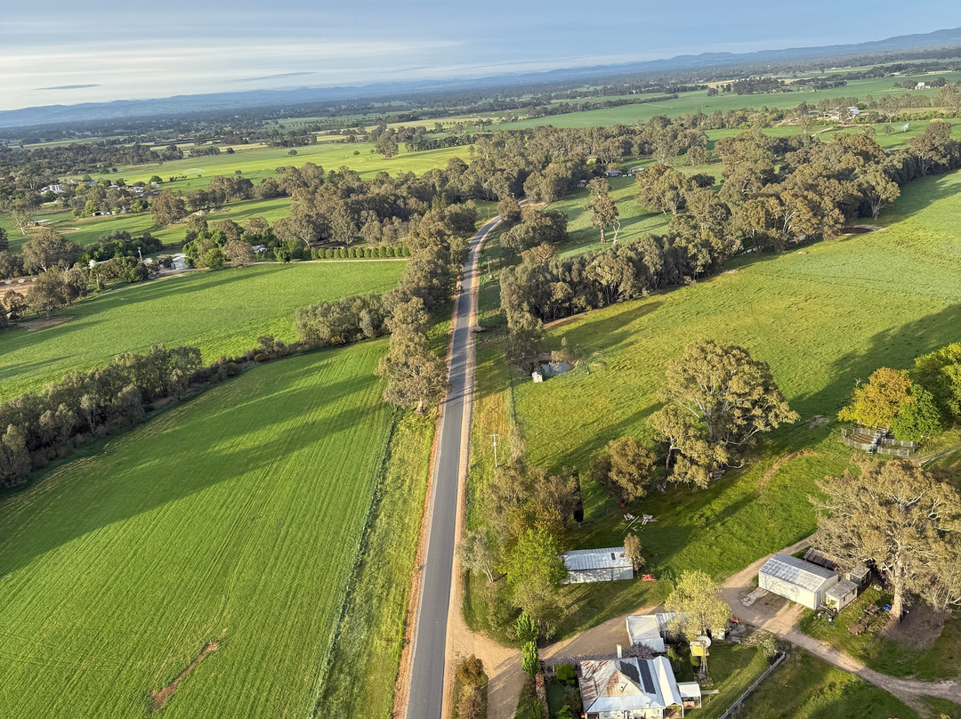 Goldrush Ballooning King Valley-King Valley必去景点