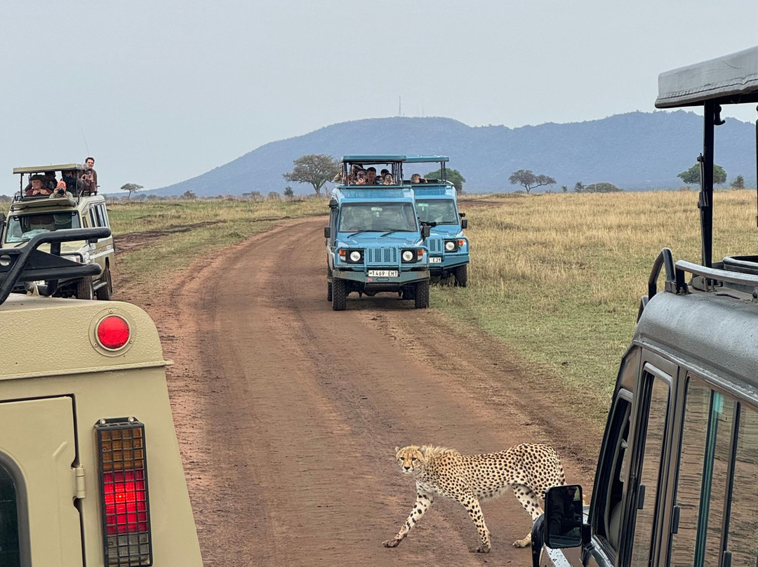 Afromasai Eastern Safaris-阿鲁沙必去景点