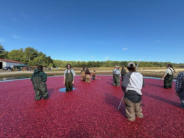 Hartley Family Farm Cranberry Bog Tours-Rochester必去景点
