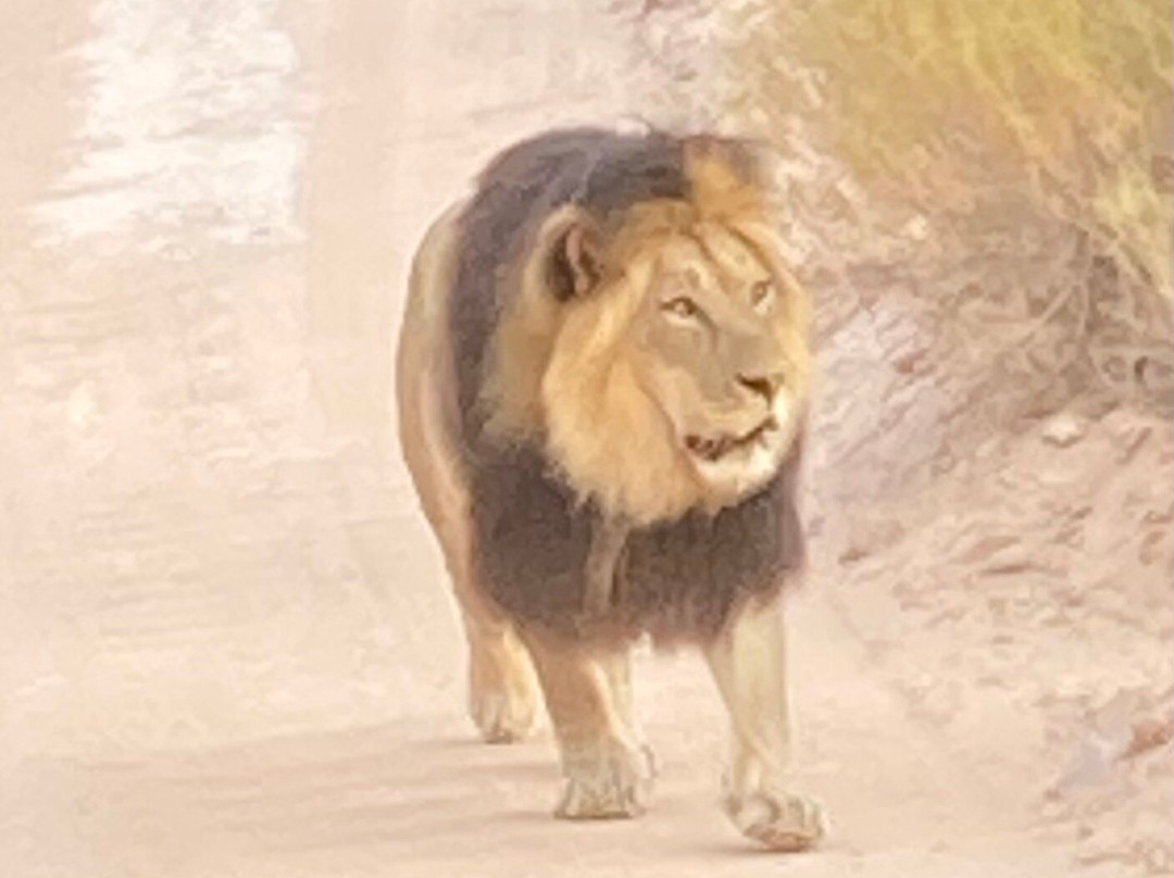 Sanbona Wildlife Reserve-蒙提古必去景点