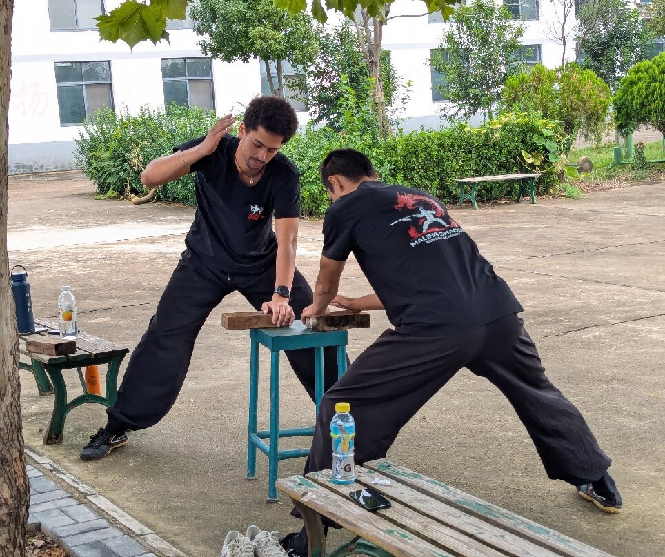 Maling Shaolin Kung Fu Academy-新沂市必去景点